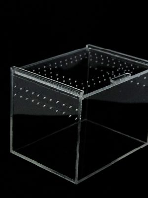 Terrario metacrilato 20x15x15