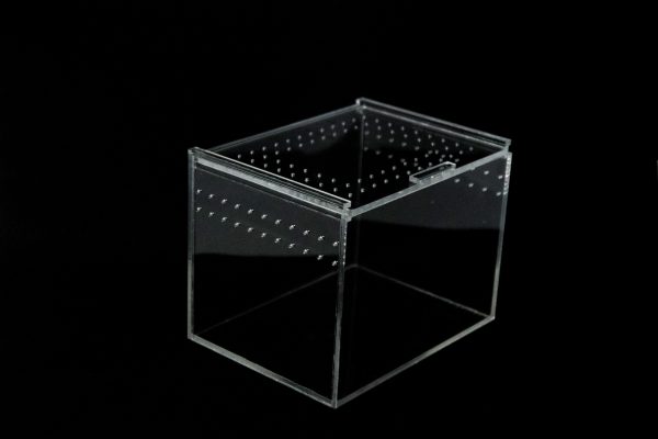 Terrario metacrilato 20x15x15