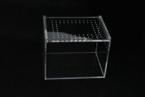 Terrarios de metacrilato para reptiles e invertebrados