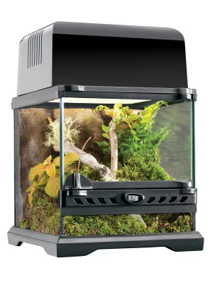 Terrario de Cristal Exo Terra Nano